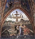 Susanna and the Elders by Bernardino Pinturicchio